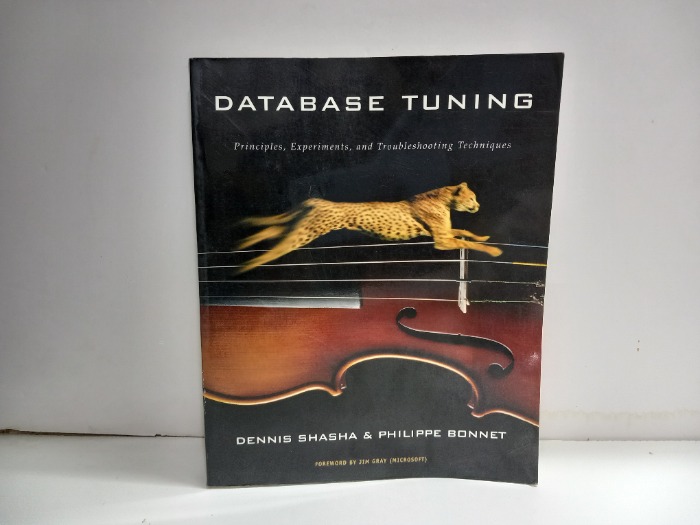 DATABASE TUNING