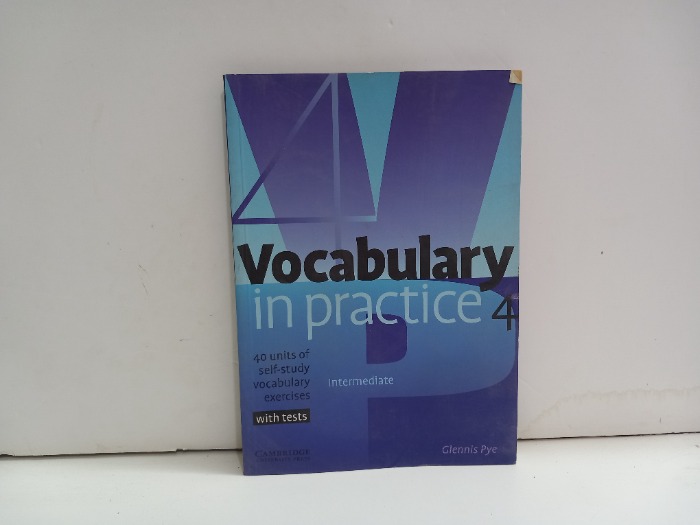Vocabulary in practice 4