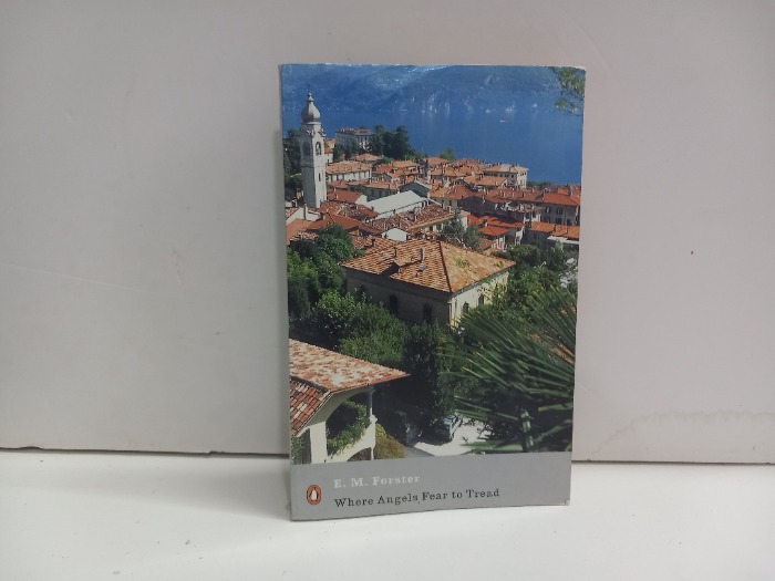 Where Angels fear to Tread