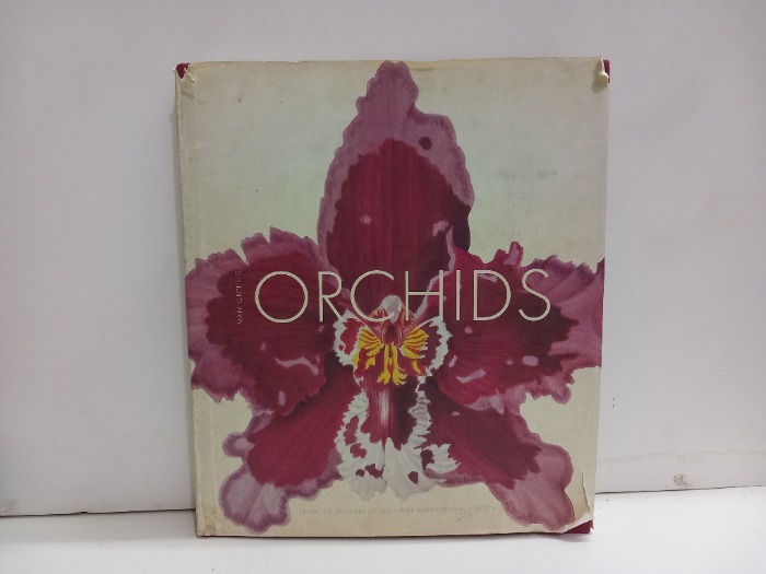 ORCHIDS