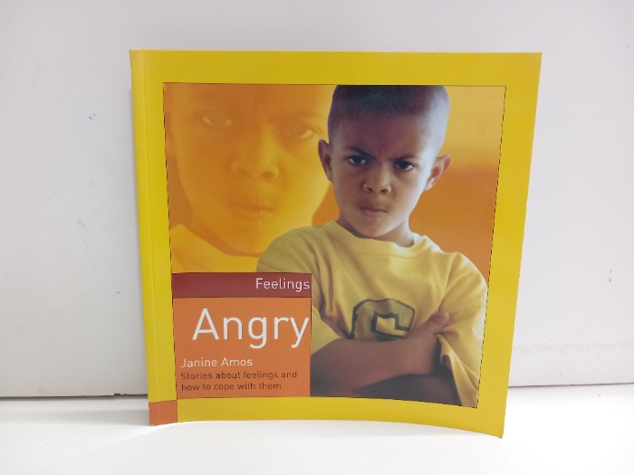 Feelings Angry