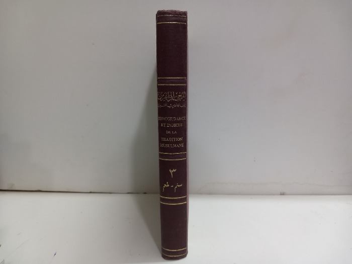 المعجم المفهرس لاالفاظ الحديث النبوي ج3