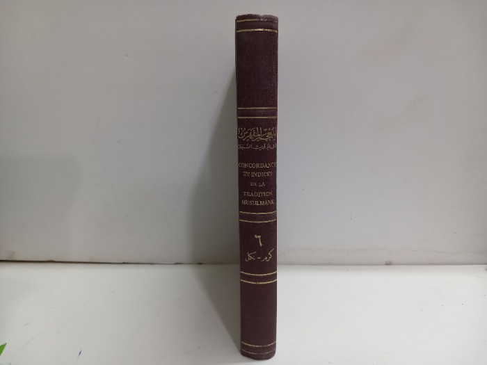 المعجم المفهرس لالفاظ الحديث النبوي ج6