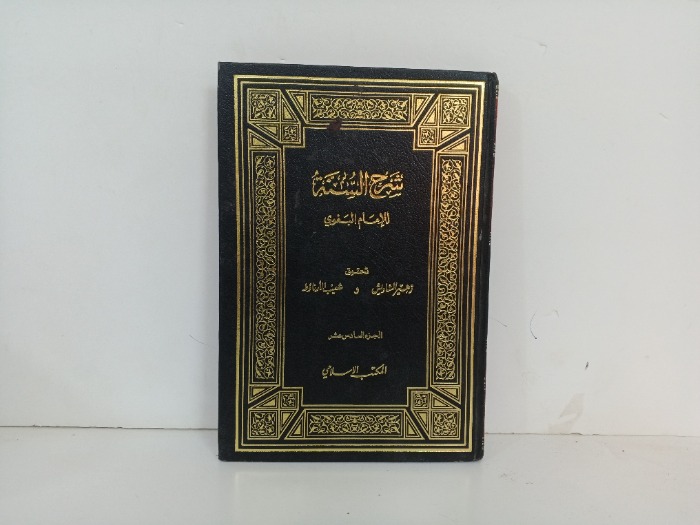 شرح السنة ج16