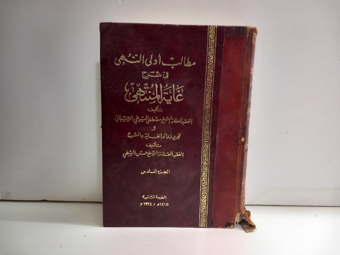 مطالب اولى النهى في شرح غاية المنتهى ج6